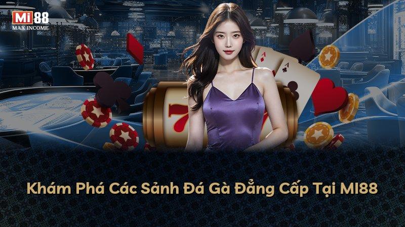 Khám Phá Các Sảnh Đá Gà Đẳng Cấp Tại MI88