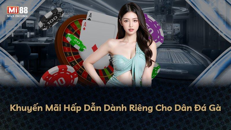 Khuyến Mãi Hấp Dẫn Dành Riêng Cho Dân Đá Gà